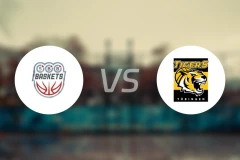 沃尔米尔斯vs图寅根比分预测【2026/03/21】