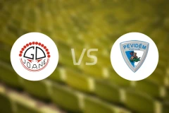 热奥尼vs皮维德姆比分预测【2024/09/02】