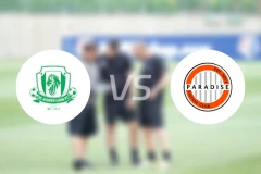 圣安德鲁狮子vs天堂俱乐部比分预测【2026/02/20】