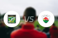 阿拉比科威特vs杰拉比分预测【2025/11/05】