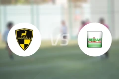 瓦迪格拉vs斯卡哈迪德比分预测【2024/10/28】