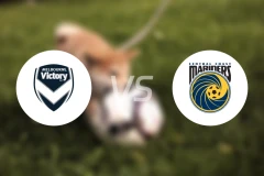 墨尔本胜利女足vs中央海岸水手女足比分预测【2025/11/15】