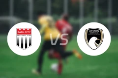 巴斯城vs维斯顿比分预测【2026/02/25】