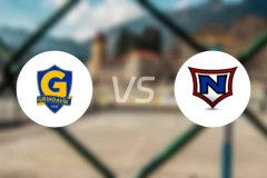 格林达维克女篮vs拿尔维克女篮比分预测【2026/01/15】