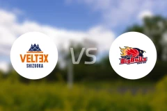 静冈顶点vs岩手大公牛比分预测【2025/12/20】