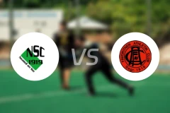 纽锡德尔vs法沃利特奈尔比分预测【2025/11/01】