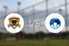 利奥帕德vs米尔福德比分预测【2026/04/25】