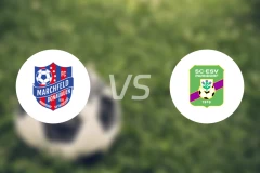 曼斯多夫vs帕多夫比分预测【2025/11/15】