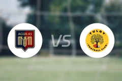 达沃鹰vs图洛伊比分预测【2025/10/19】