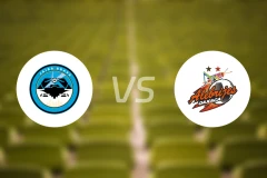 勇敢螃蟹vs阿莱布里赫比分预测【2025/11/02】