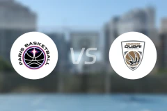 巴黎vs迪拜比分预测【2026/01/23】