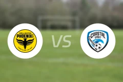 威灵顿凤凰后备队vs海岸精神比分预测【2025/11/15】