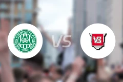 维堡vs瓦埃勒比分预测【2025/11/23】