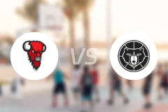 野牛vs科沃特比分预测【2025/12/28】