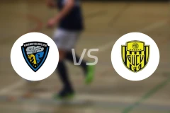 布沙尼路费斯堡vs安卡拉古库比分预测【2026/02/22】