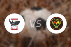 宿务vs卡雅FC比分预测【2026/03/14】