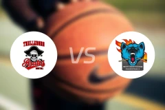 特雷勒堡vs韦特比分预测【2025/11/15】