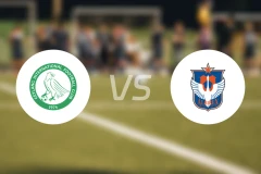 芽笼国际vs新潟天鹅乙队比分预测【2026/03/15】