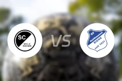 SC斯雷维巷vs霍尔特豪森蜜蜂比分预测【2026/04/25】