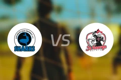 萨瑟兰鲨鱼vsFC圣乔治比分预测【2026/02/21】