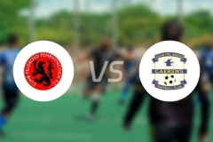 匹赫高vs卡亚士维斯比分预测【2025/11/15】