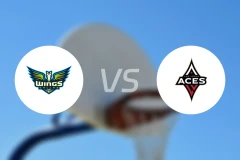 飞翼vs王牌比分预测【2025/08/18】