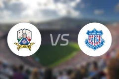 FC岐阜vs甲府风林比分预测【2026/03/08】