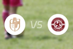 德拉伊耶vs费萨里哈曼比分预测【2025/11/23】