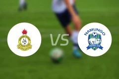 坦桑尼亚监狱vs纳姆古戈俱乐部比分预测【2026/02/14】