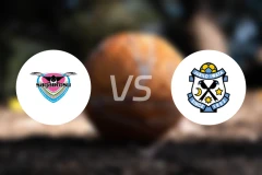 鸟栖砂岩vs磐田喜悦比分预测【2025/11/29】