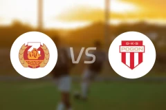 萨尼克vs波贡格罗兹克比分预测【2026/02/22】