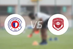 费迪耶vs坎卡亚比分预测【2026/01/25】