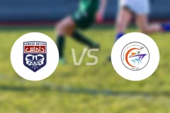 达玛希吉兰vs谢纳瓦尔格什姆比分预测【2025/11/16】