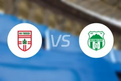 蒂克韦什vs佩利斯特比分预测【2026/03/08】