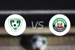 卡琳娜古宾vs包尔科维切比分预测【2026/04/25】