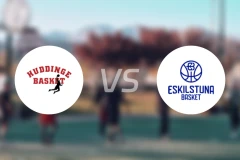 哈丁格vs埃斯基尔斯图纳比分预测【2025/11/22】