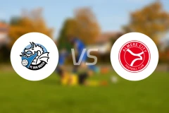 邓伯什vs阿尔梅勒城比分预测【2025/11/22】