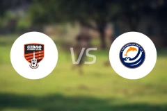 锡瓦奥vs东部海豚比分预测【2025/12/08】