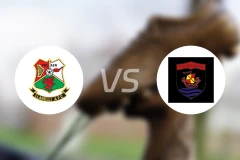 兰内里vs康纳斯码头比分预测【2025/11/29】