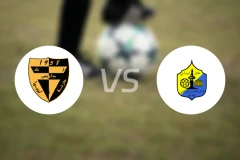 达尼斯体育vs阿尔塔文比分预测【2025/12/25】