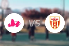 梅加vs布拉卡比分预测【2026/03/15】