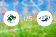 阿维利诺vs特莱维奥比分预测【2025/10/30】