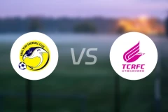 新北航源vs台中磐石比分预测【2026/04/12】