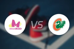 梅加vsKK切德维塔比分预测【2025/12/21】