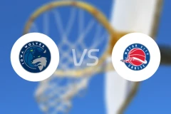 爱荷华狼队vs汽车城邮轮比分预测【2025/11/30】