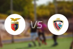 卡塞塔纳vs福贾比分预测【2026/02/07】