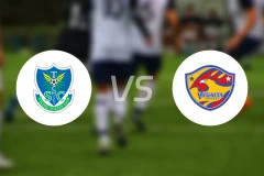 枥木SCvs仙台七夕比分预测【2026/02/22】