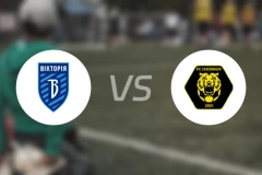 FC维多尼古拉耶夫卡vs切尔尼夫比分预测【2025/11/23】