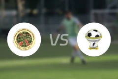 锡达马咖啡vs韦尔瓦罗比分预测【2026/02/22】