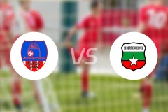 沙利纳竞技vs斯海彭赫弗尔比分预测【2025/12/08】